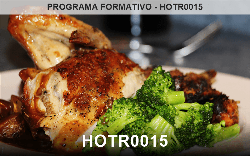 ELABORACIÓN DE PLATOS COMBINADOS