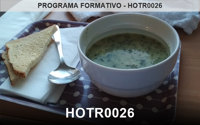 EL SERVICIO DE COMIDAS EN CENTROS SANITARIO Y SOCIOSANITARIOS