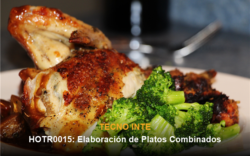 Elaboración de Platos Combinados - Tecno Inte